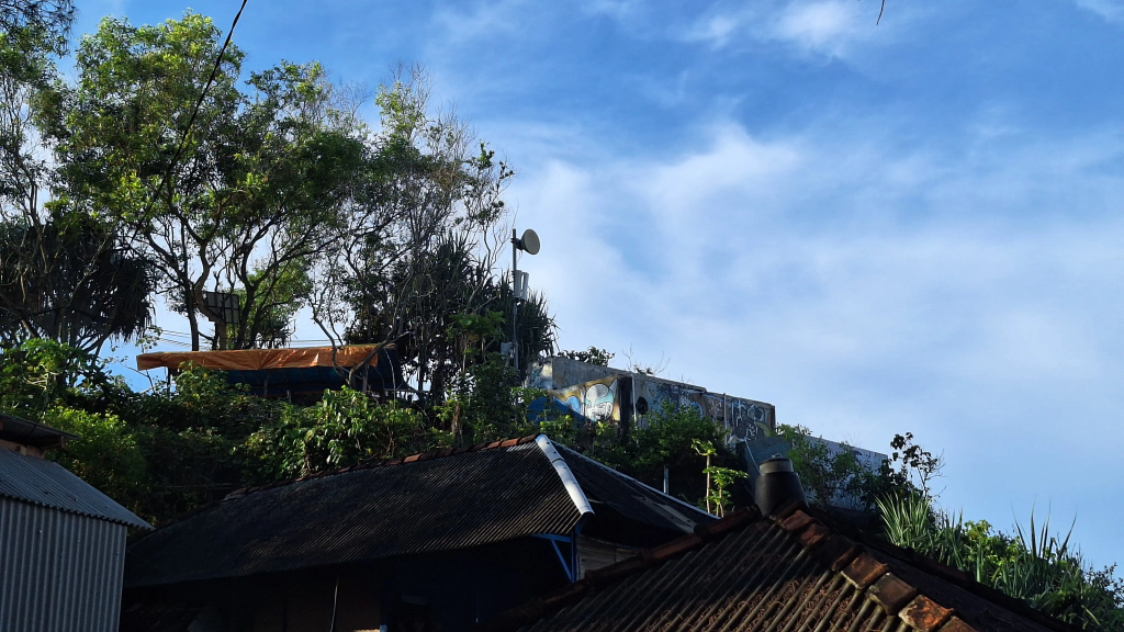 a random photograph by me